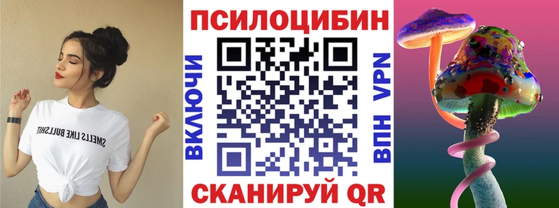shop Telegram мега зеркало Нижнеудинск Псилоцибиновые грибы мухоморы